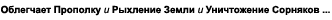 Сапка